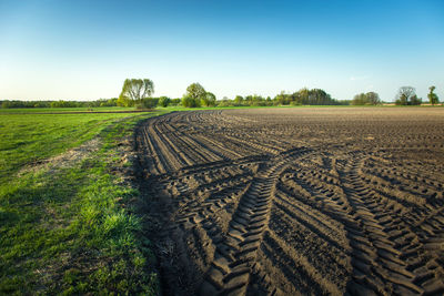 Traces of tractor wheels in a plowed field, horizon and blue sky