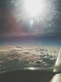 Sun shining through trees