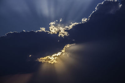 Low angle view of illuminated plant against sky at sunset