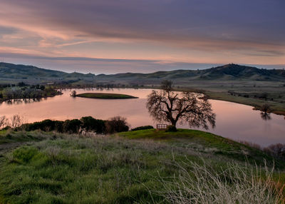 Scenic view of lake by field against sky during sunset