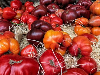 Full frame shot of tomatoes