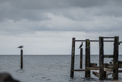 Wooden posts on sea against sky