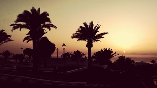 Silhouette palm trees against sky during sunset