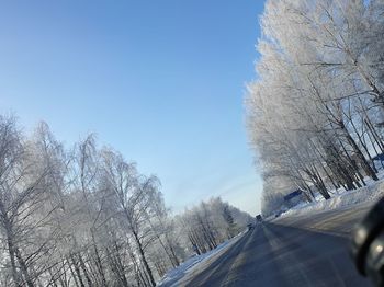 Road amidst trees against sky during winter