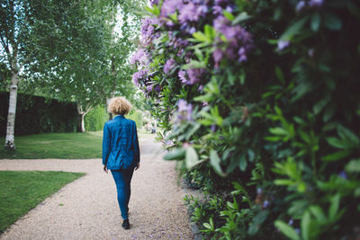 Rear view of a woman walking in park