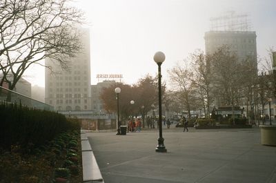 Trees in city against sky