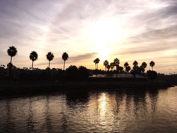 Silhouette palm trees by river against sky during sunset