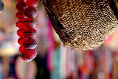 Close-up of red lanterns