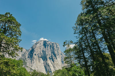 Views of yosemite national park in the summer in northern california.