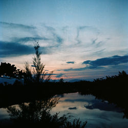 Scenic view of silhouette trees against sky at sunset