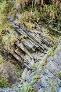 High angle view of rock formation on land