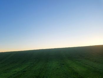 Scenic view of field against clear sky