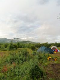 Scenic view of field against sky