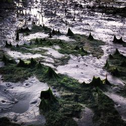 High angle view of rock formations