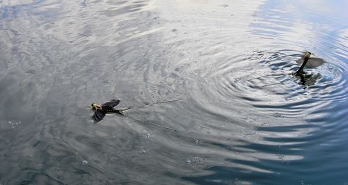 View of water in water