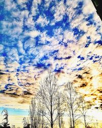 Low angle view of trees against cloudy sky