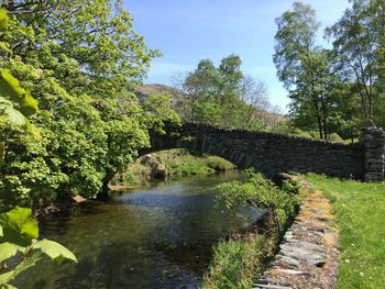 Bridge over river in forest against sky