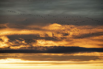 Low angle view of sky during sunset