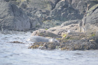 Surface level of cliff against mountain