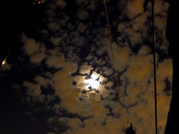 Low angle view of silhouette trees against sky at night