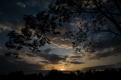 Low angle view of silhouette trees against sky at sunset