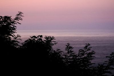 Silhouette trees by sea against sky during sunset