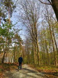 Rear view of man walking in forest