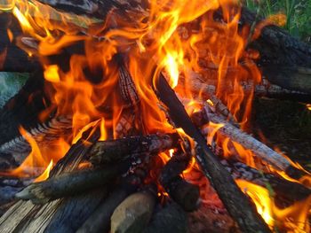 Close-up of bonfire