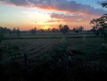 Scenic view of landscape at sunset