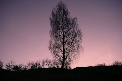 Silhouette trees on field against sky during sunset