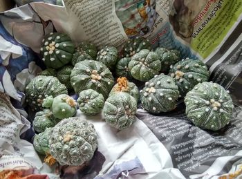 Close-up of vegetables for sale in market