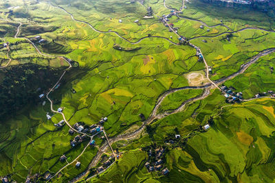 Full frame shot of terraced field