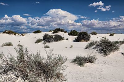 Scenic view of desert against sky