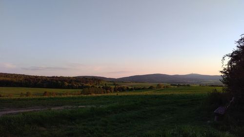 Scenic view of field against sky during sunset