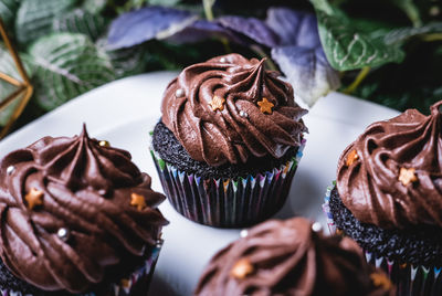 Close-up of cupcakes in plate