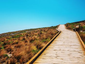 Boardwalk amidst plants against clear blue sky