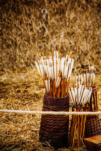 Arrows in wicker baskets on field