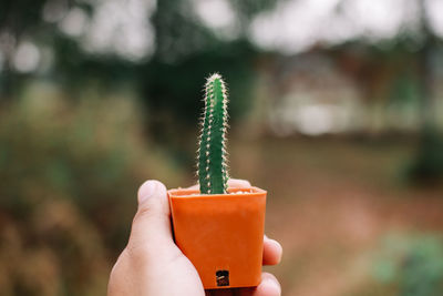 Close-up of hand holding leaf