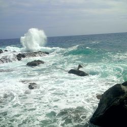 Waves splashing on rocks at shore