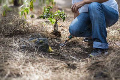 Man working with flowers in farm