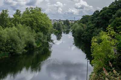 Scenic view of river amidst trees in forest against sky