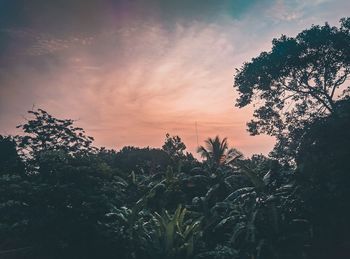 Low angle view of silhouette trees against sky during sunset
