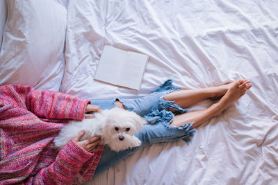 High angle view of dog lying on bed at home