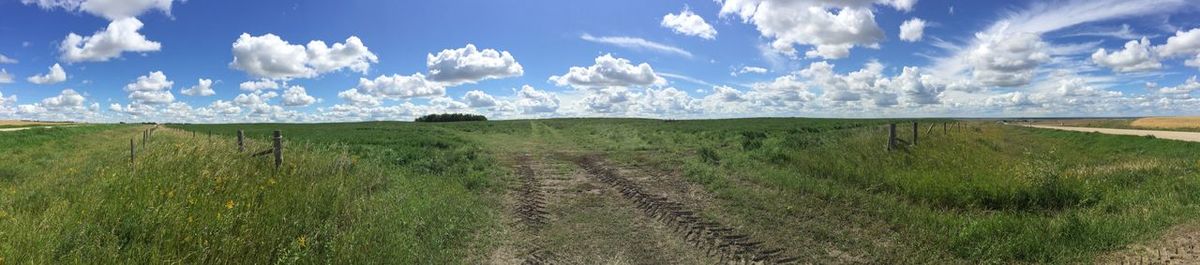 Panoramic shot of grassy field against cloudy sky