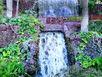 Scenic view of waterfall in forest