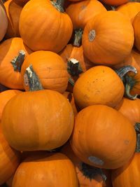 High angle view of pumpkins for sale at market stall