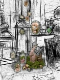 Close-up of tree stump