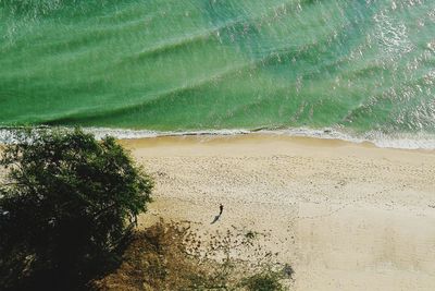 High angle view of man on beach
