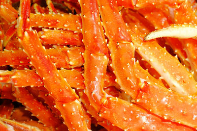 Red crab for eating close up