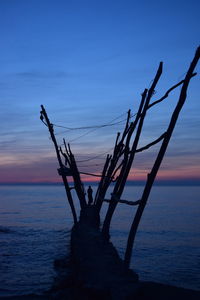 Silhouette driftwood on beach against sky at sunset